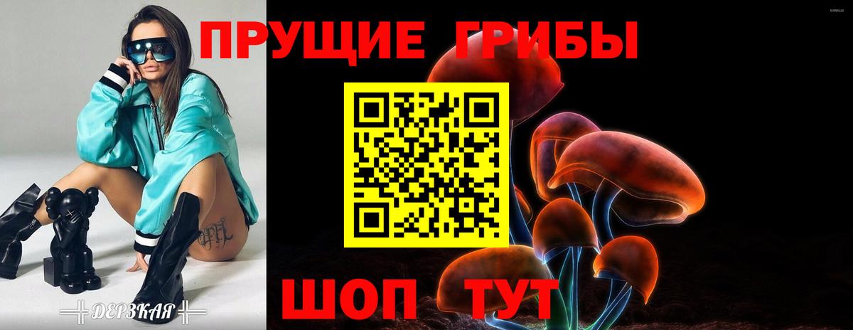 Псилоцибиновые грибы прущие грибы  Галлюциногенные грибы мицелий  Вход с VPN  где продают наркотики  Ишим 